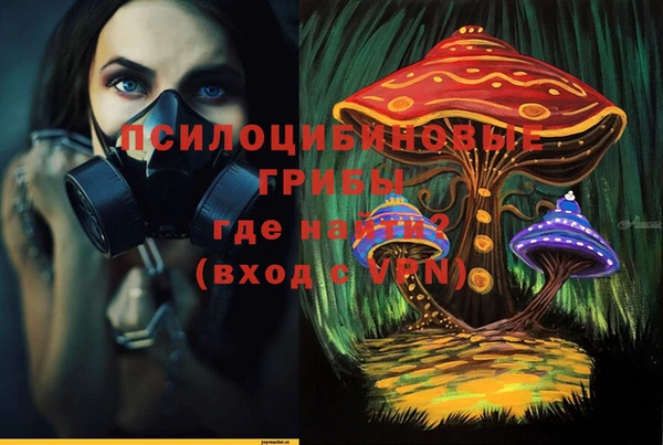 амф Балахна