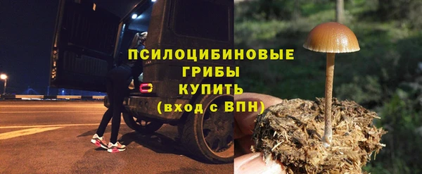 амф Балахна