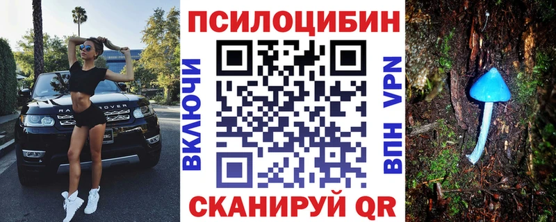Галлюциногенные грибы Psilocybine cubensis  Новое Девяткино 